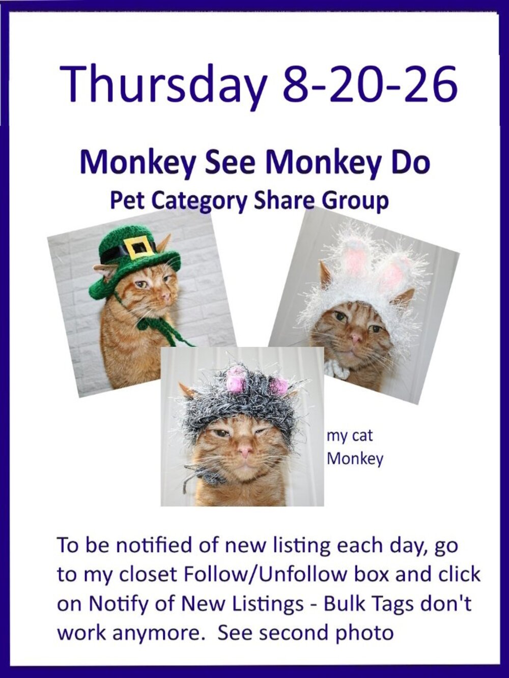Thursday 8-20-26 Dog Cat Small Animal Pet Share Discussion Group